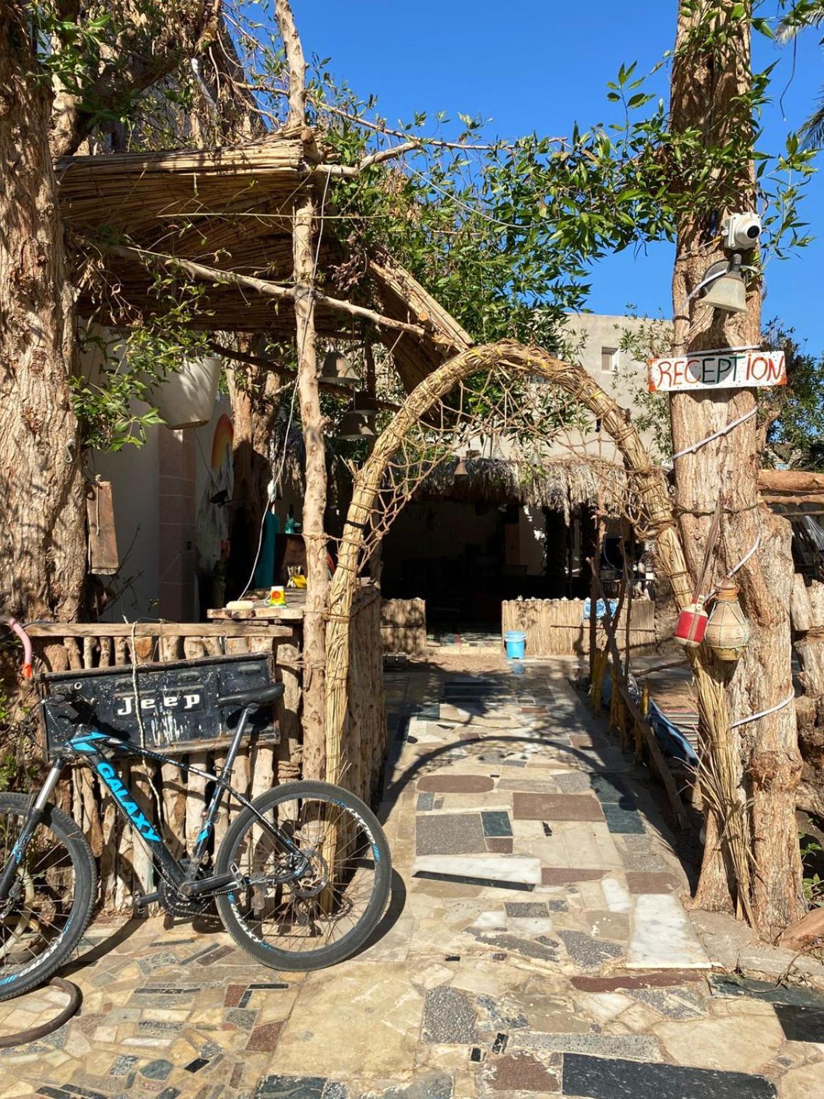 Sunrise Dahab Lodge Eksteriør billede