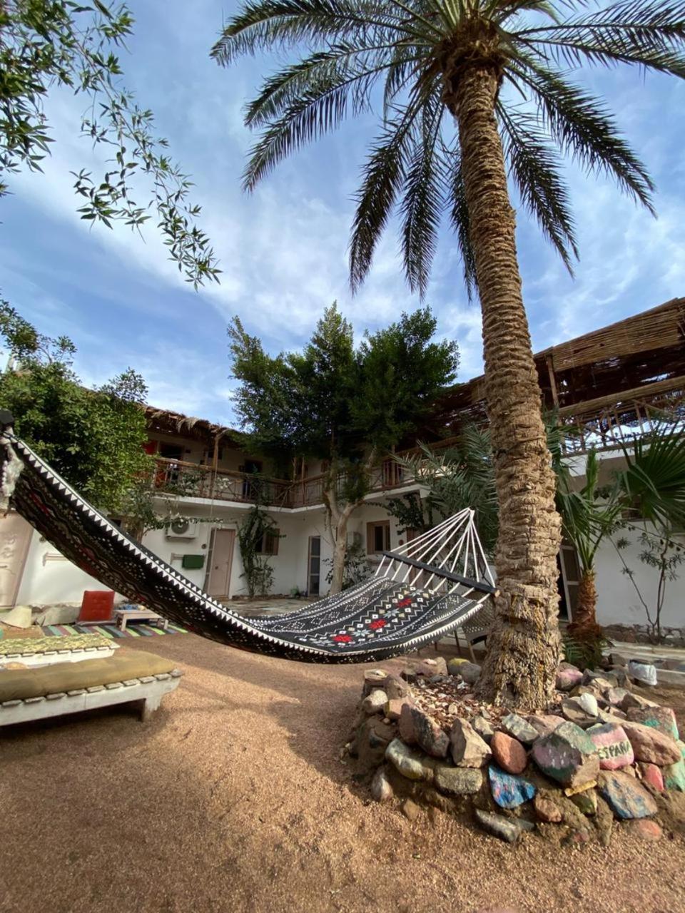 Sunrise Dahab Lodge Værelse billede